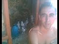 guvercin,untrained,gencguvercin,serhat,
