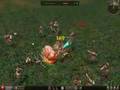 Metin 2 - Kamień Metin Czerni