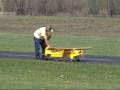 Cub in trouble