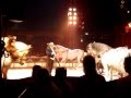 Circus Renz