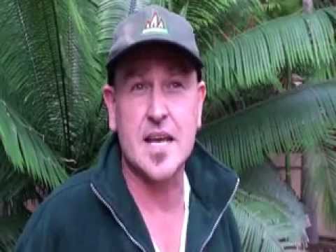 Fire severity in the savannas See video