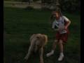 2009-01-06 | Brandy @ Large ~> Irish Wolfhound playing with children! ... (03:33)