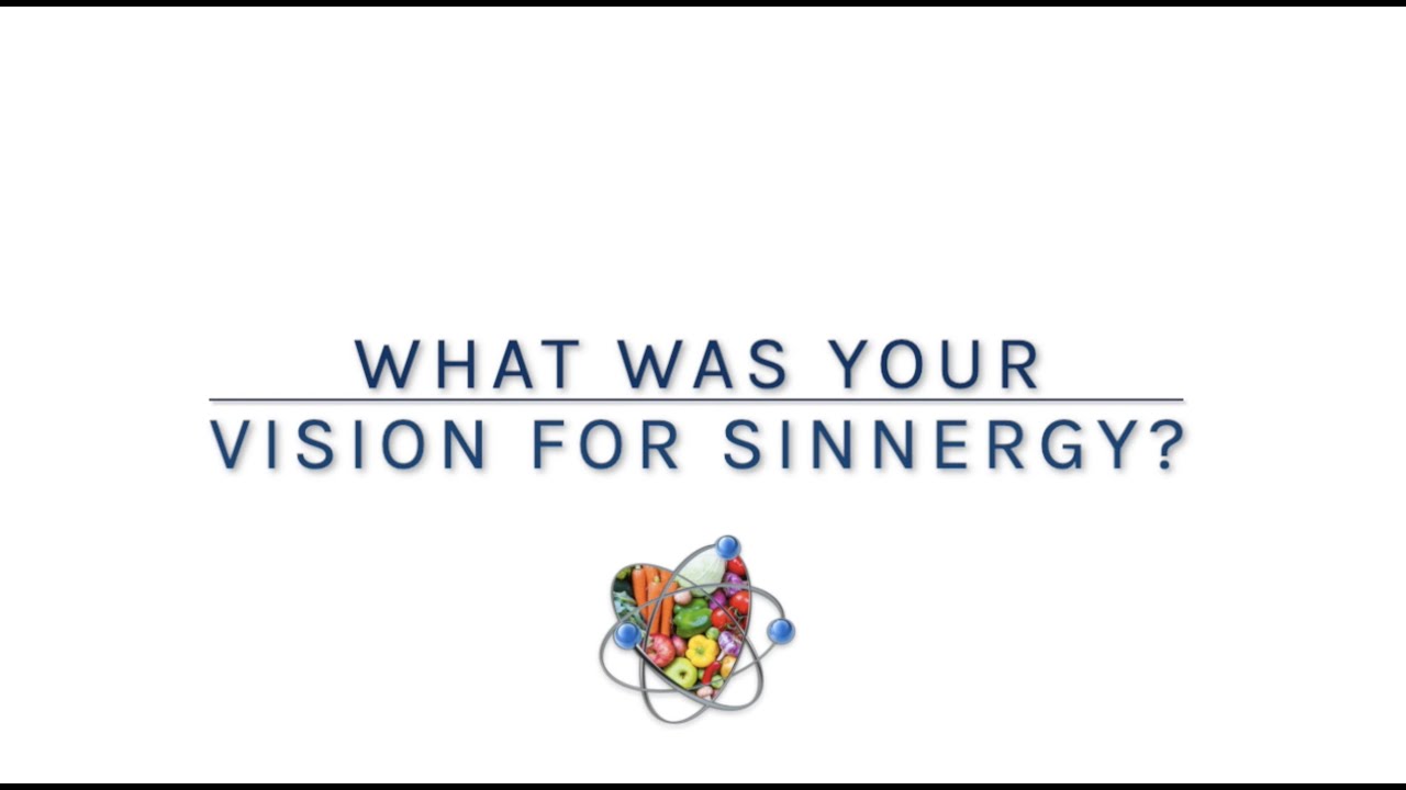 What is The Vision of Sinnergy Wellness Group?
