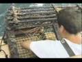 Lobstering-on-the-Be