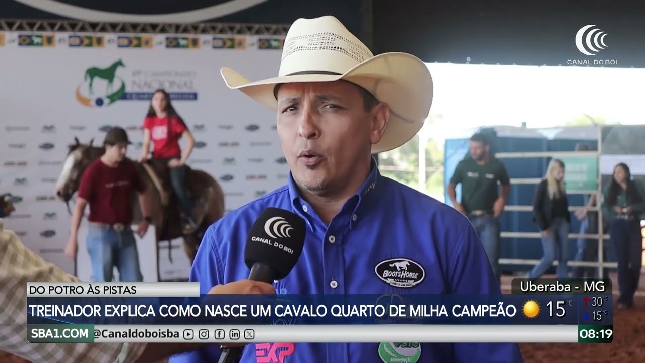 Saiba como nasce um cavalo quarto de milha campeão