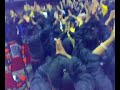 cheers banana vs goyang2 vs lollipop vs kuaz aum! cheers banana vs goyang2 vs lollipop vs kuaz aum!