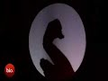 Amazing Shadow Puppets Amazing Shadow Puppets