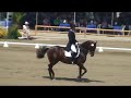 UFORIA &amp; NICK WAGMAN, INTERM I, '08 USEF FESTIVAL