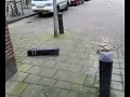 Paaltje omtrappen Paaltje omtrappen