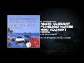 Daniel Wanrooy What You Want Official Music Video and Lyrics