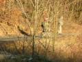 videos de MVI 0164