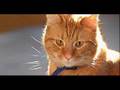 firestar-breakaway
