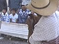 san miguel tlacotepec video pelea de gallos