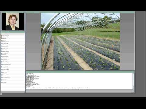how to fertilize strawberries organically