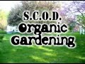SCOD Gardens: WEEDS, FERTILIZER & MULCH