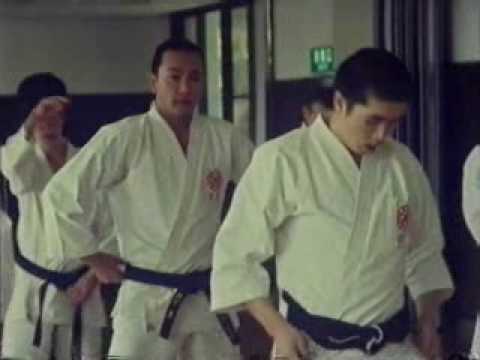 Way of the Warrior - Shorinji Kempo, the New Way