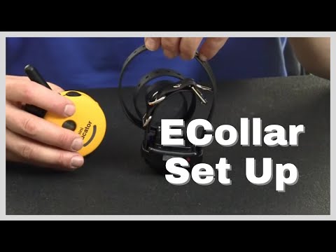 how to fasten an e collar