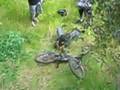 goatfarm carnage