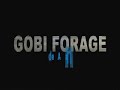 Gobi Forage Project: Herder Alliances