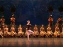 Labayadere Tamas Nagy Variation 1st act Het Nationale Ballet