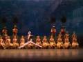 Labayadere Tamas Nagy Variation 1st act Het Nationale Ballet