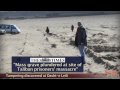 War Crimes and the White House: The Bush Administration's Cover-Up of the Dasht-e-Leili Massacre