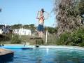 TORRE TORRE