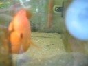 a better video... Part 2