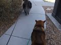 Out for a Sunday walk