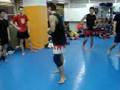 how to kick by kyokushin champ,ayato kitajima