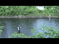 spey casting river leven Alexandria