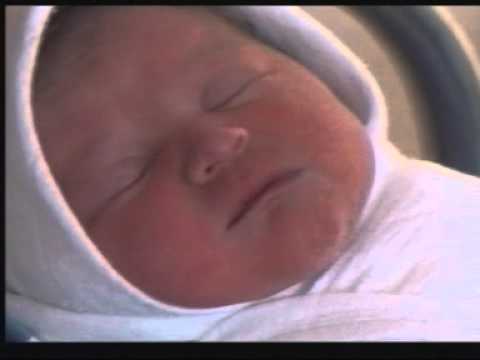 3 000 000 динара из буџета града за вантелесну оплодњу!