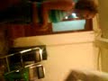 si se parecen!*!*!*!*