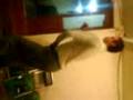 si se parecen!*!*!*!*