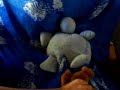 flor la tortue film XXX flor la tortue film XXX