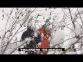 Tanner in British Colombia POW!