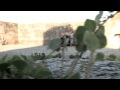 Tutto è possibile-Vincenzo Cutietta
