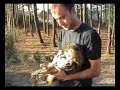 Puhu ve Atmaca Do?aya Sal?n??? Puhu ve Atmaca Do?aya Sal?n???