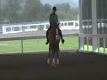 : Walk Zigzag. 2008 Ivetta Harte Riding Her Mare Zena