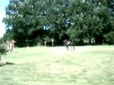 trec