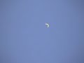 Bright object (UFO) over Tepexpan Mexico - November 2009