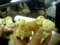 OSTEOLOGIA RADIO CUBITO Y CARPO