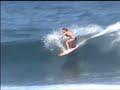 Surfing - Urchin Chronicles, Volume I