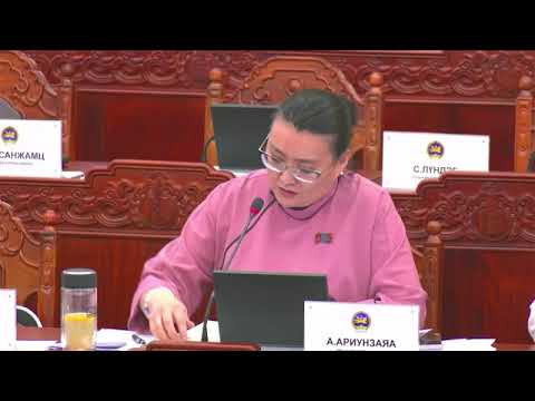 А.Ариунзаяа: Сангийн яамны бодлого бүхэн зөв байдаггүй учраас үүнд анхаарч ажилламаар байна