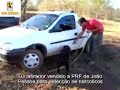 canilcaraibas.com
