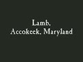 Lamb, Accokeek