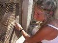 Cozumel Humane Society, November, 2009