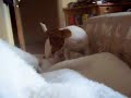 Miki and Yuki playing Miki and Yuki playing