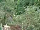 Chantier SNCF