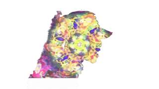 December 20th - Maui Max